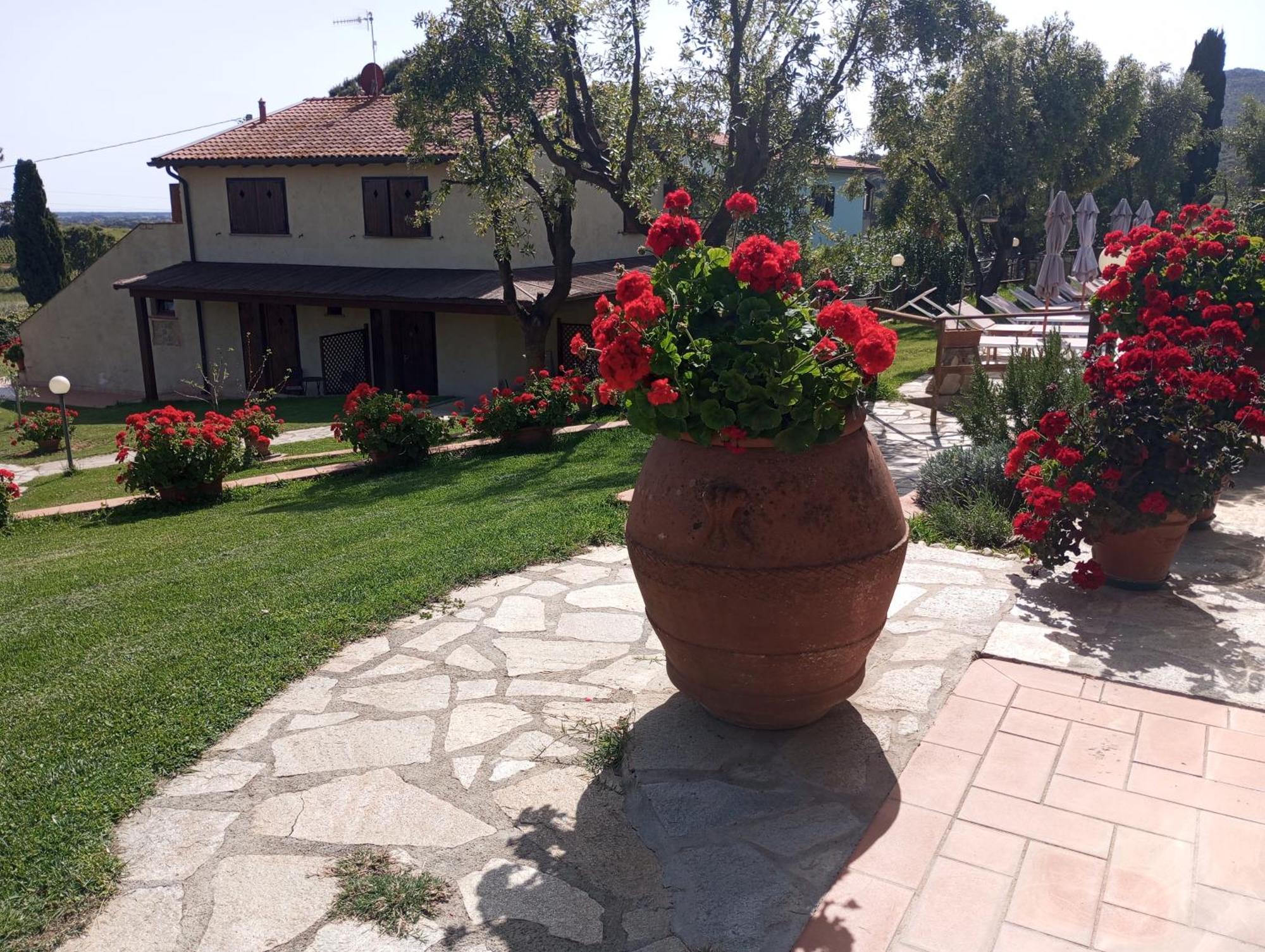 Agriturismo La Luciana 카스틸리오네 델라 페스카이아 외부 사진