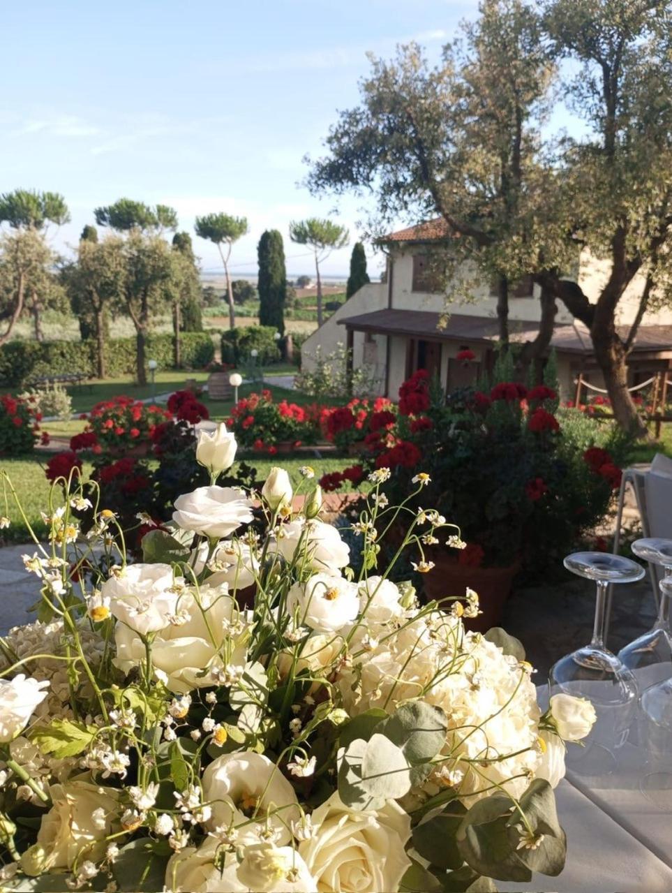 Agriturismo La Luciana 카스틸리오네 델라 페스카이아 외부 사진